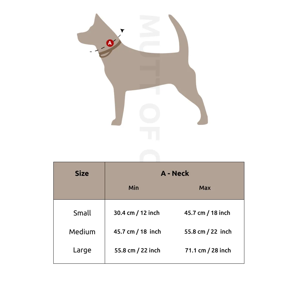 Beers N' Cheers Martingale Collar For Dogs