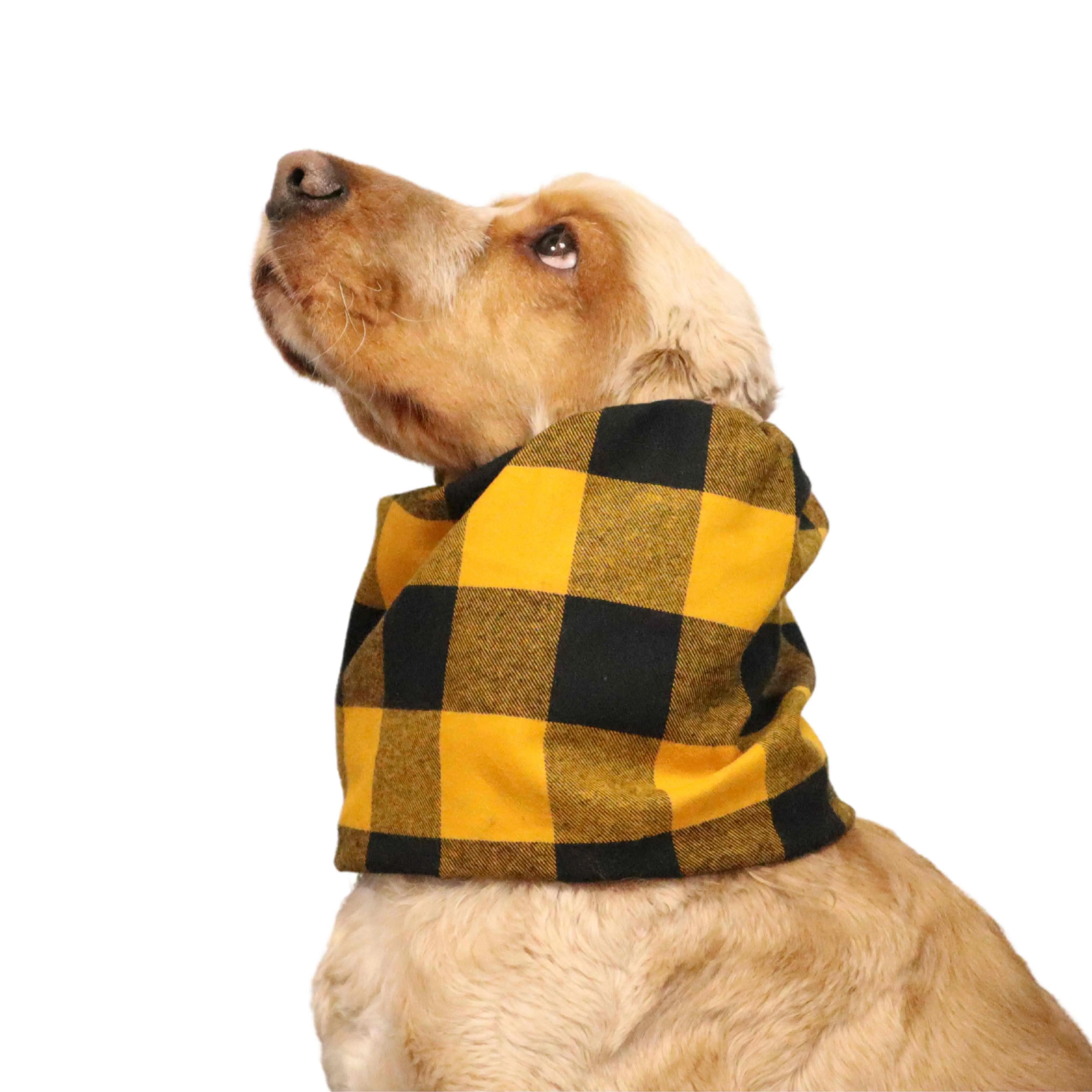 Flannel Dog Snood | Yellow Plaid