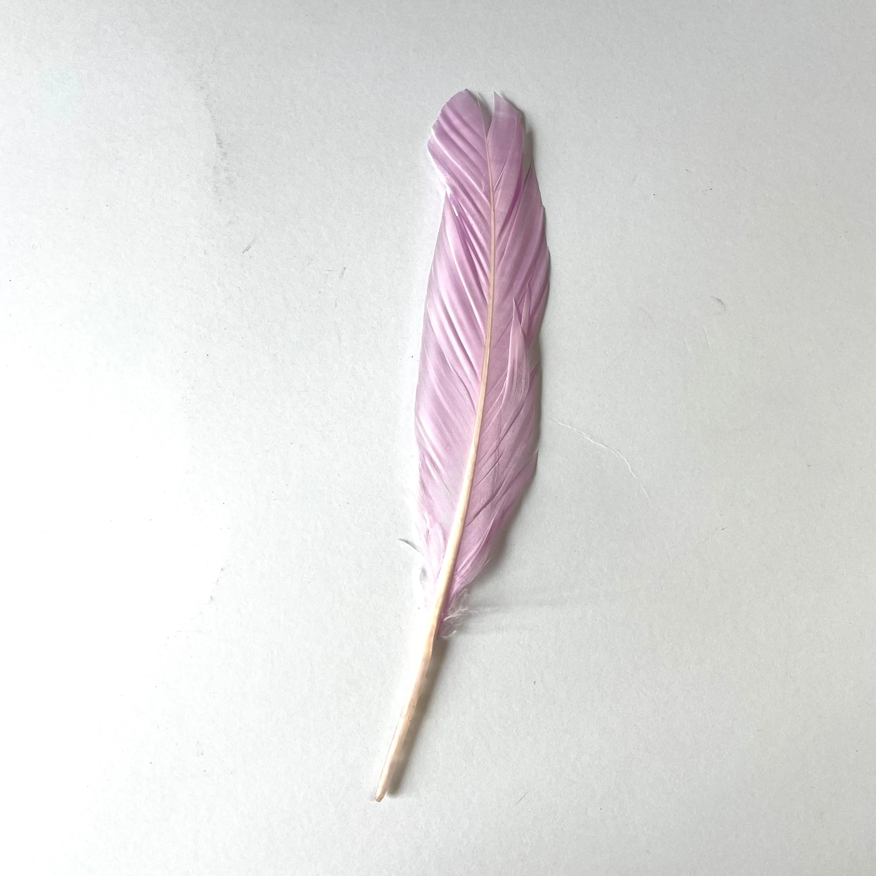 Goose Pointer Feathers 10 grams - Bright Lilac ((SECONDS))